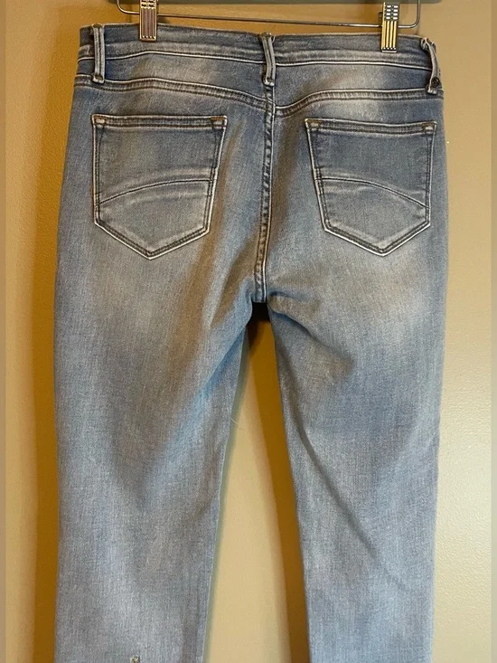 Driftwood Jackie Bloom Embroidered Jeans - Picture 9 of 14